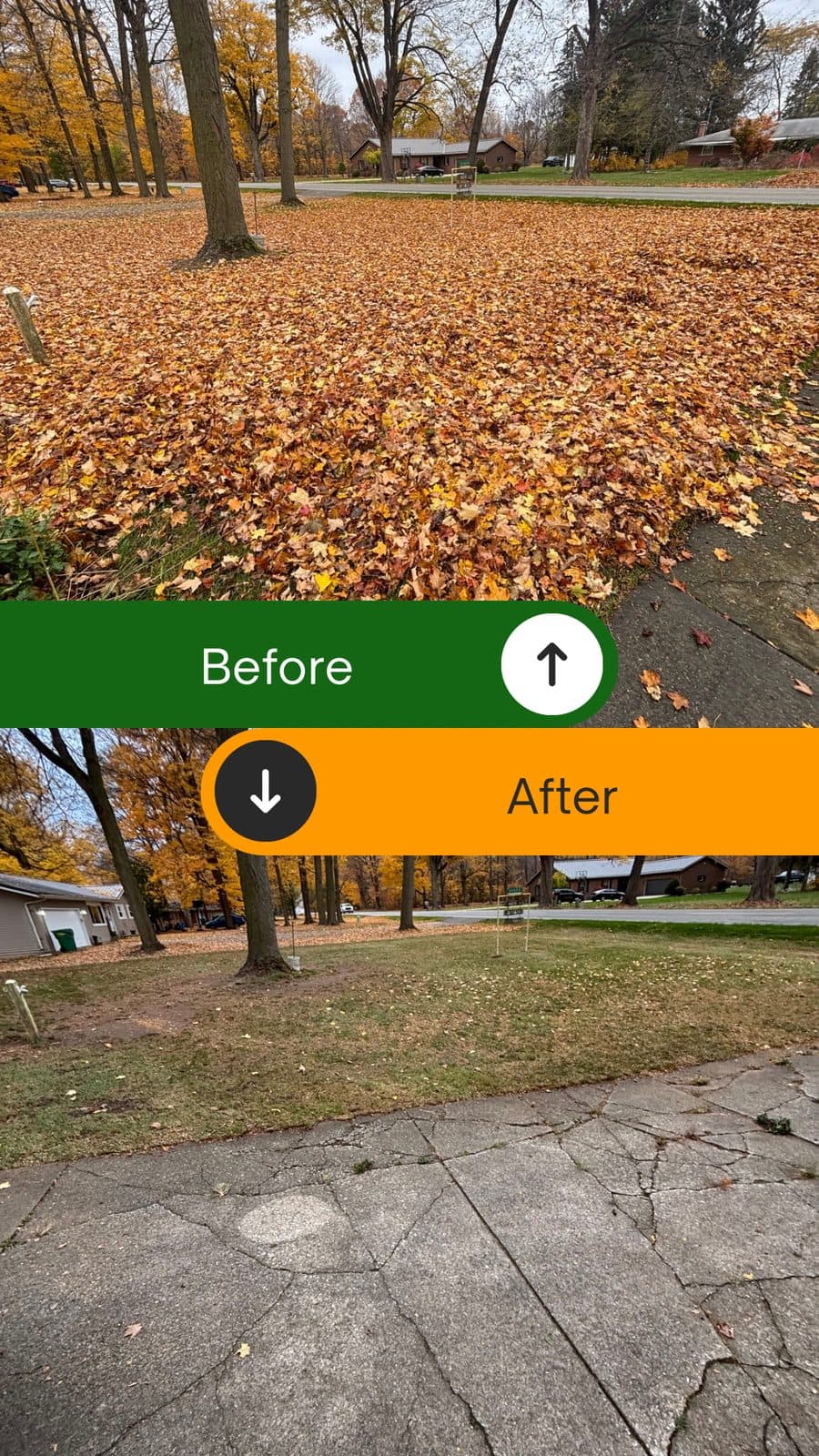Before and after of a Fresh Cut Lawns fall leaf cleanup, the lawn cleared and tidy.