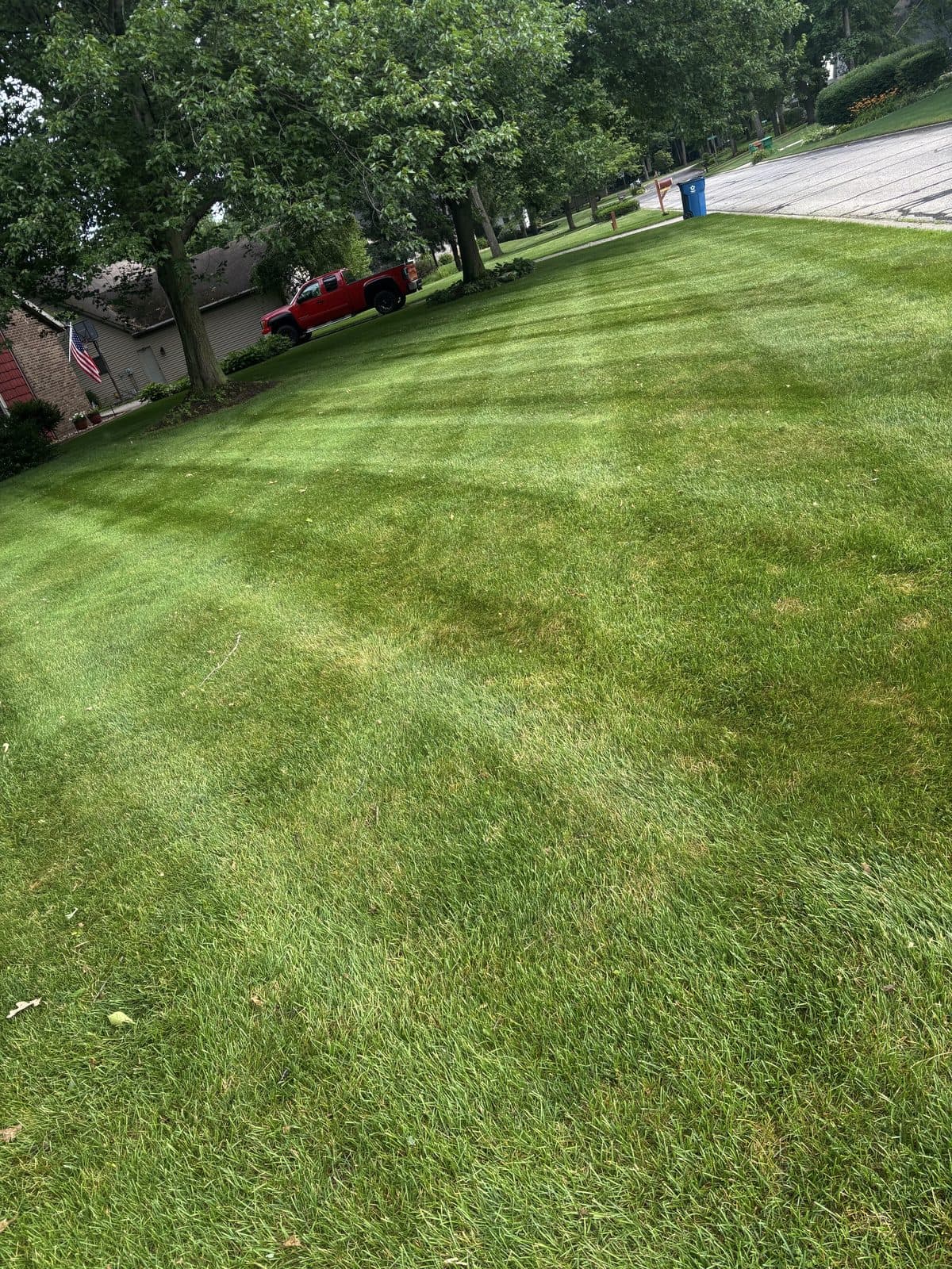 A residential lawn freshly mowed with clean, straight mowing stripes by Fresh Cut Lawns.