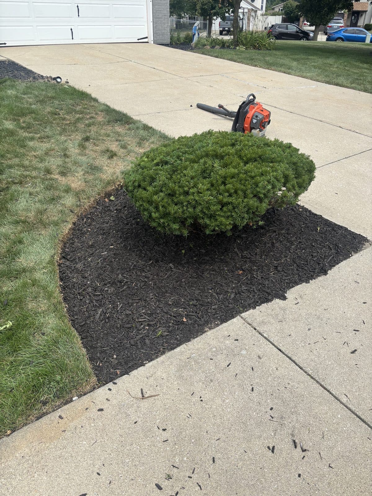 A leaf blower and freshly edged mulch bed during a Fresh Cut Lawns property cleanup.