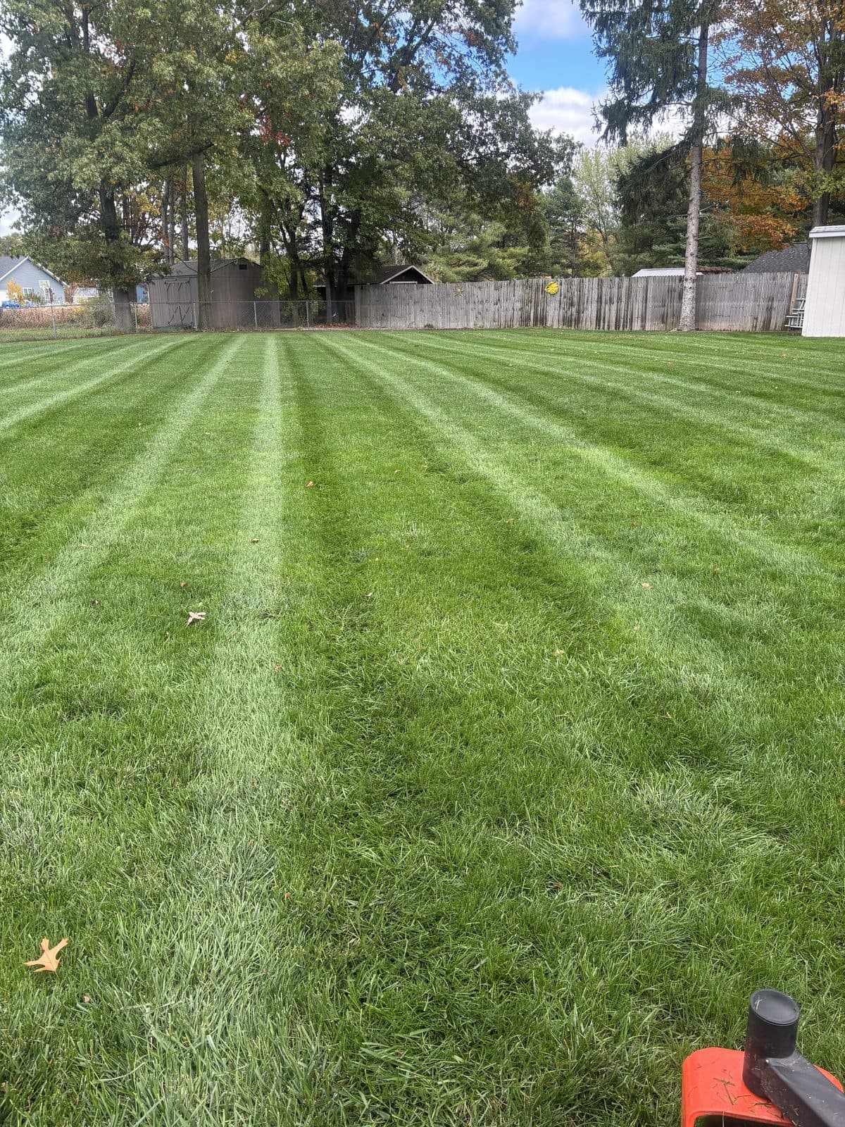A residential lawn freshly mowed with clean, straight mowing stripes by Fresh Cut Lawns.