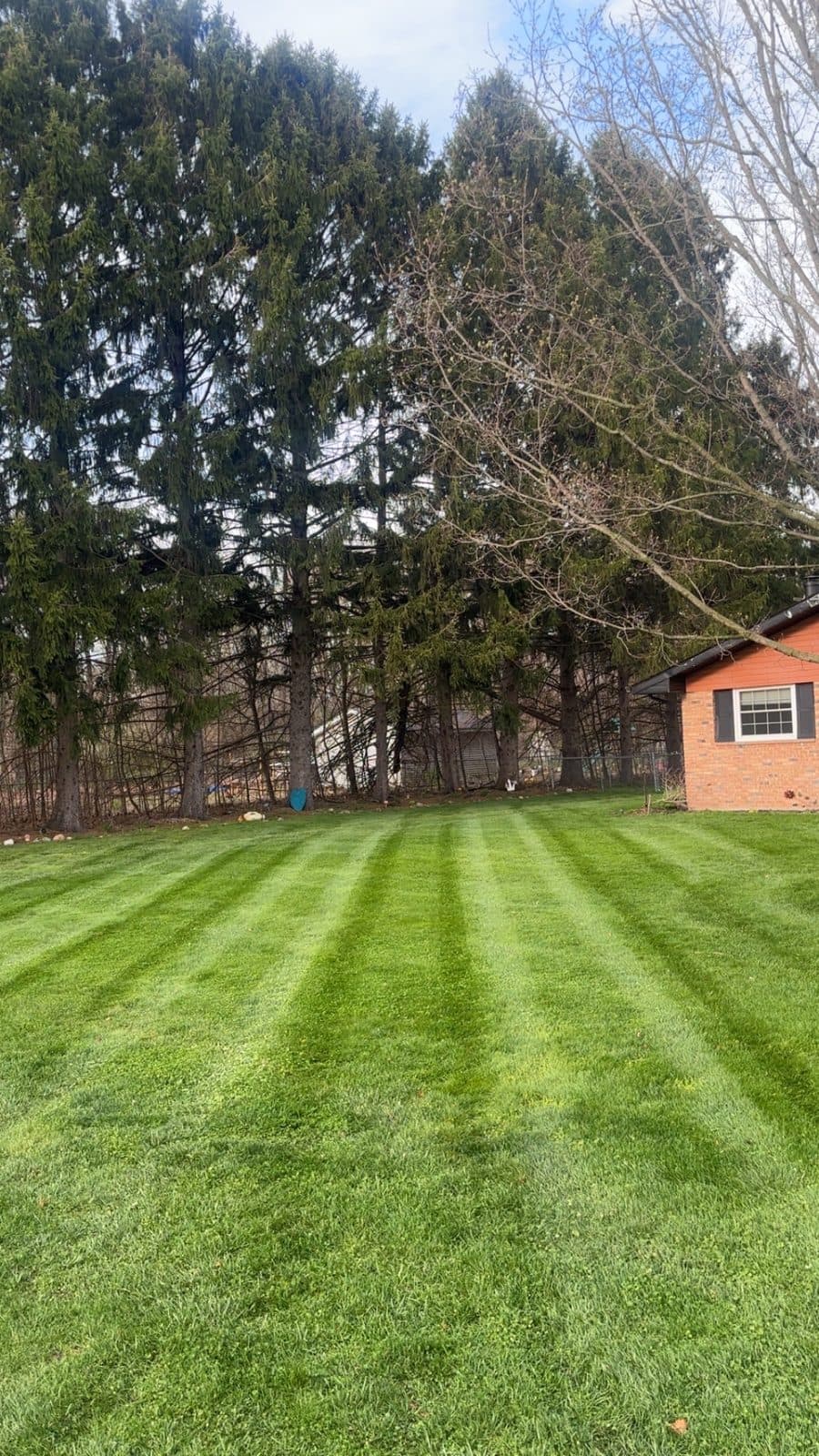 A residential lawn freshly mowed with clean, straight mowing stripes by Fresh Cut Lawns.