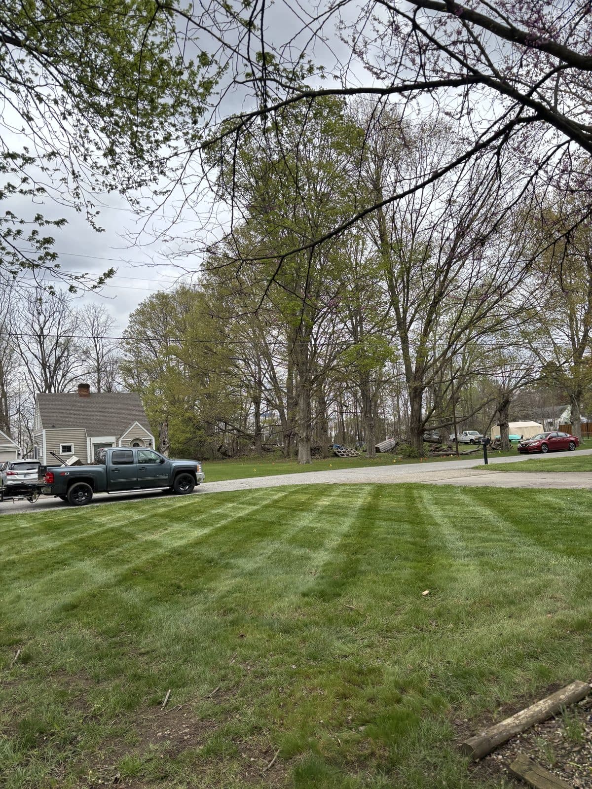 A residential lawn freshly mowed with clean, straight mowing stripes by Fresh Cut Lawns.