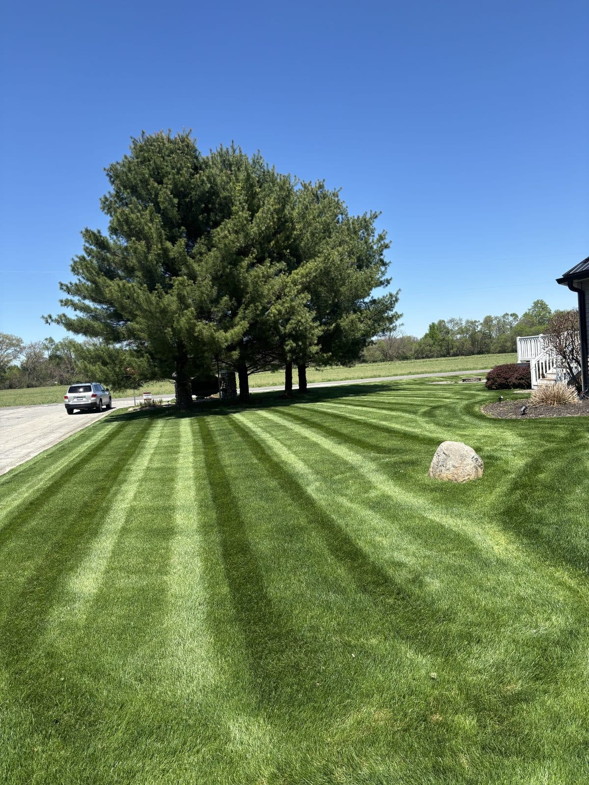 A residential lawn freshly mowed with clean, straight mowing stripes by Fresh Cut Lawns.