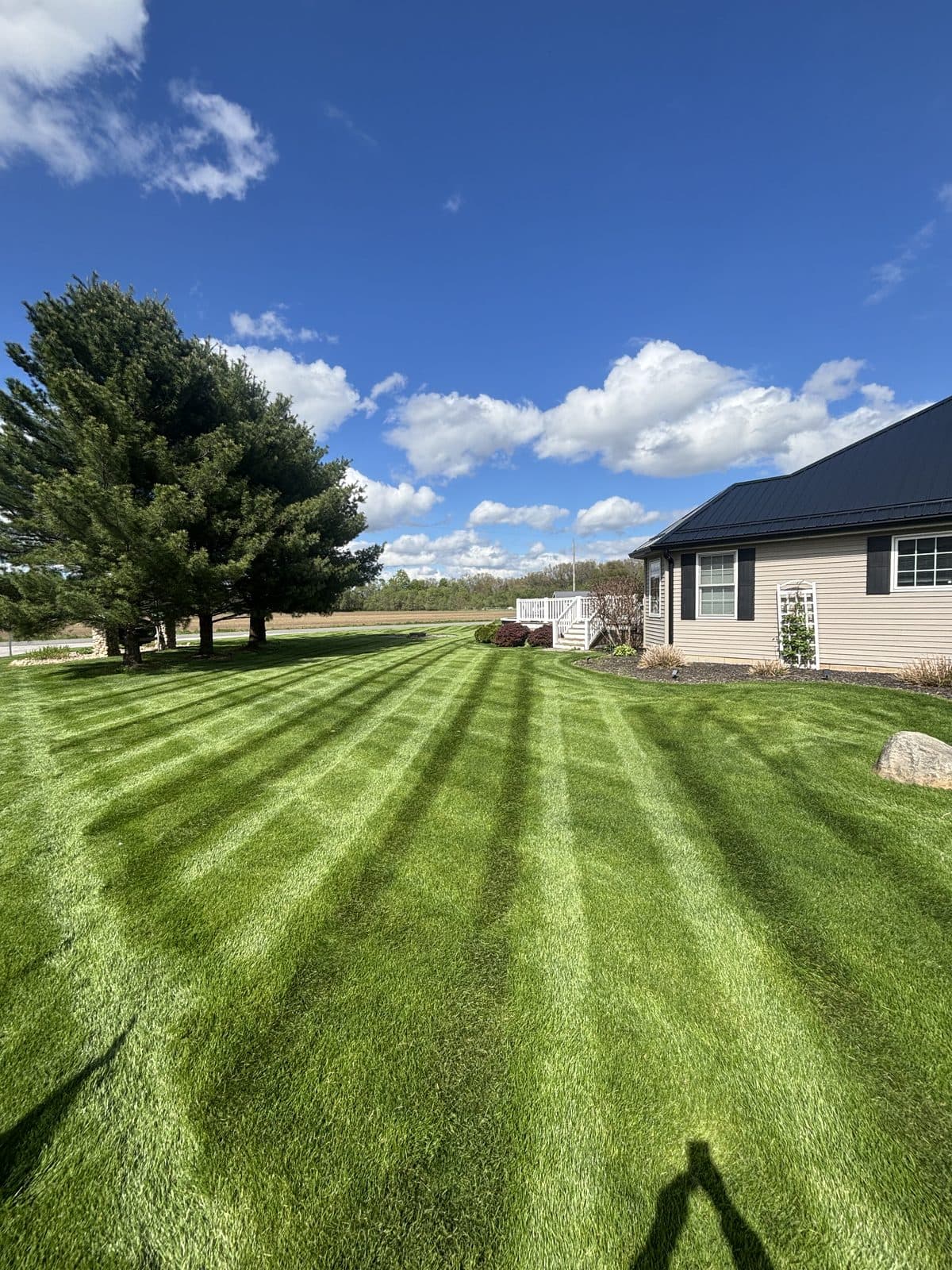 A residential lawn freshly mowed with clean, straight mowing stripes by Fresh Cut Lawns.