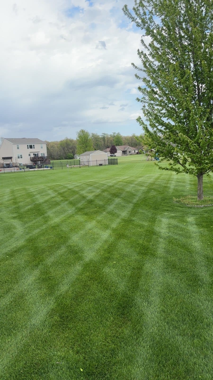 A residential lawn freshly mowed with clean, straight mowing stripes by Fresh Cut Lawns.