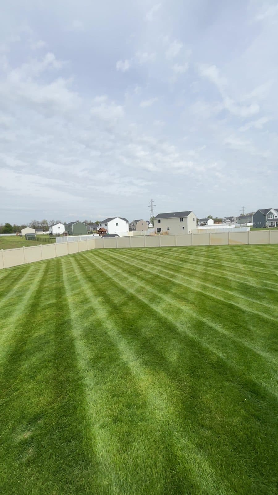 A residential lawn freshly mowed with clean, straight mowing stripes by Fresh Cut Lawns.