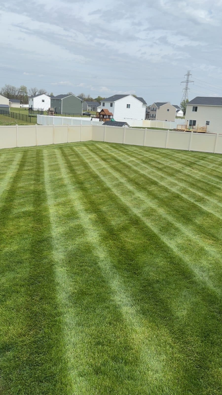 A residential lawn freshly mowed with clean, straight mowing stripes by Fresh Cut Lawns.