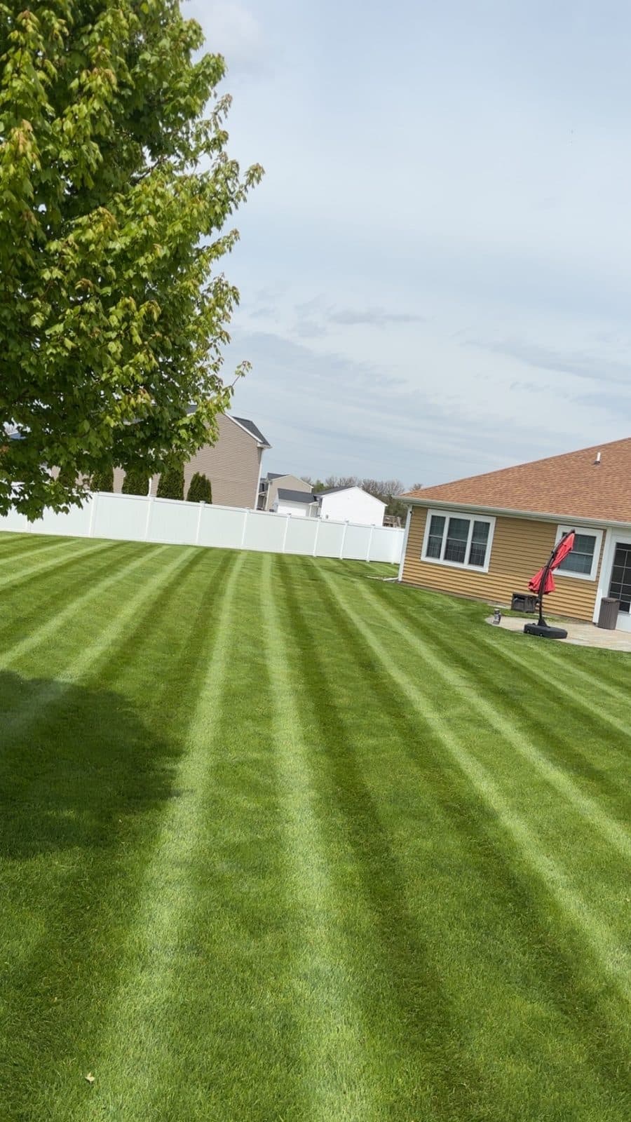 A residential lawn freshly mowed with clean, straight mowing stripes by Fresh Cut Lawns.