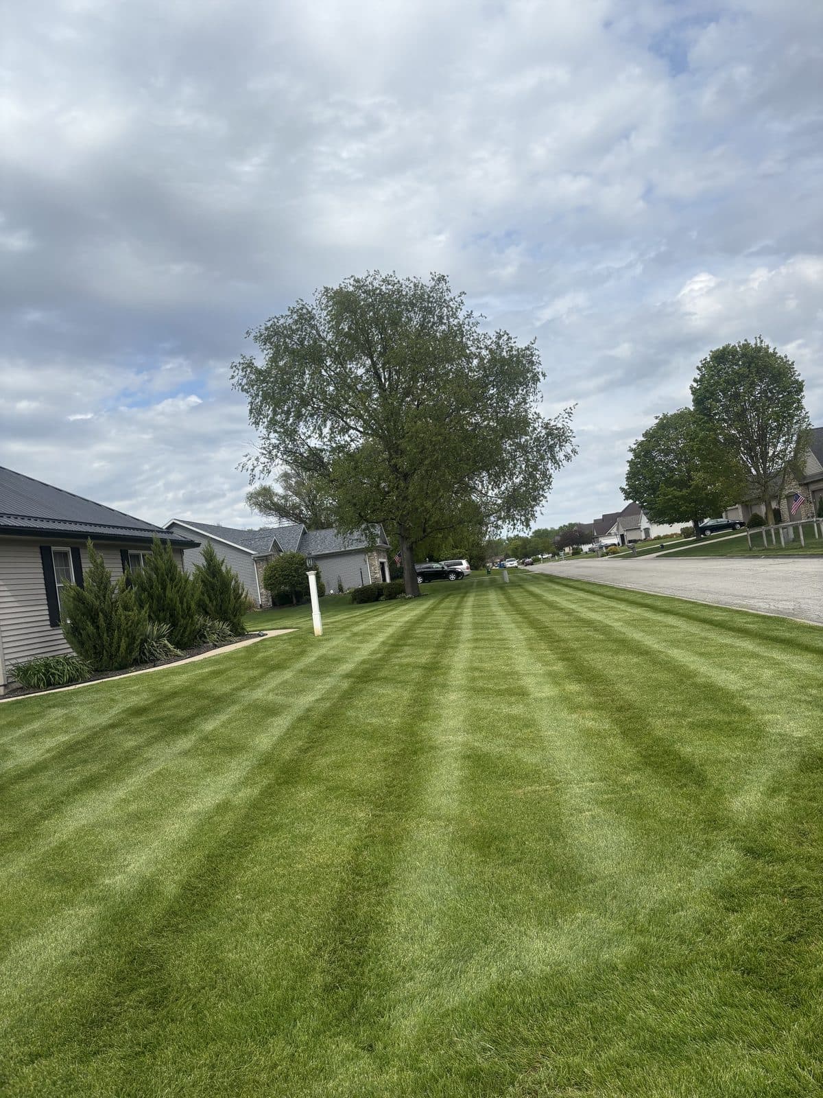 A residential lawn freshly mowed with clean, straight mowing stripes by Fresh Cut Lawns.