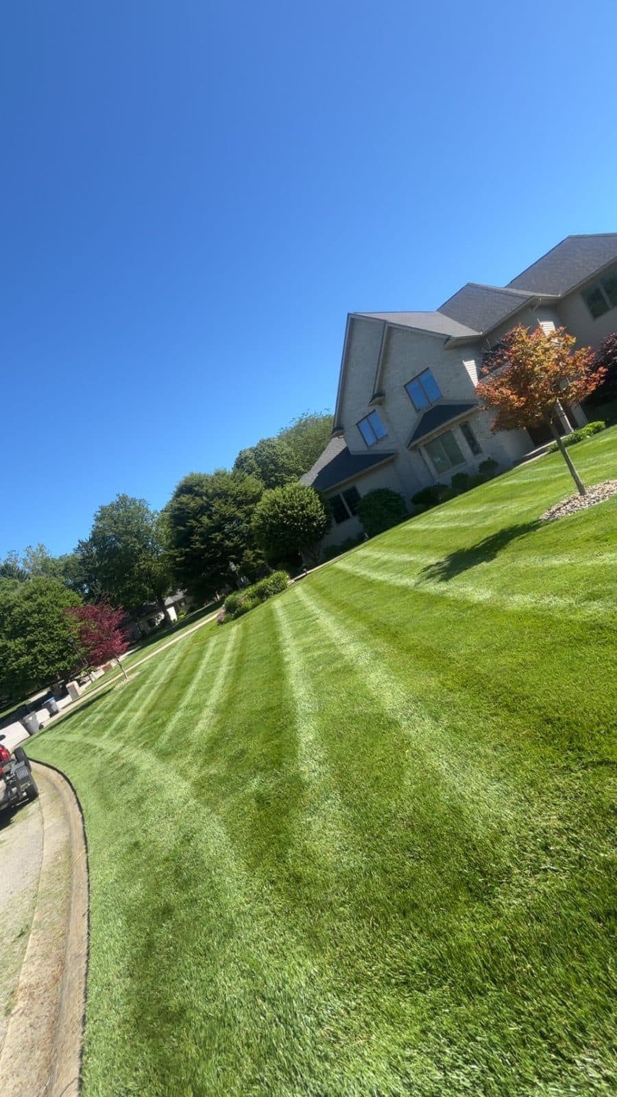 A residential lawn freshly mowed with clean, straight mowing stripes by Fresh Cut Lawns.