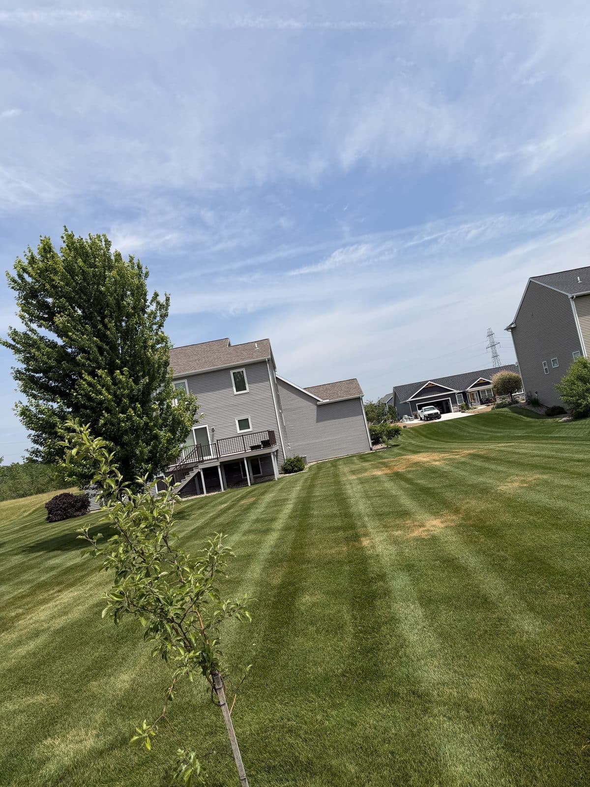 A residential lawn freshly mowed with clean, straight mowing stripes by Fresh Cut Lawns.