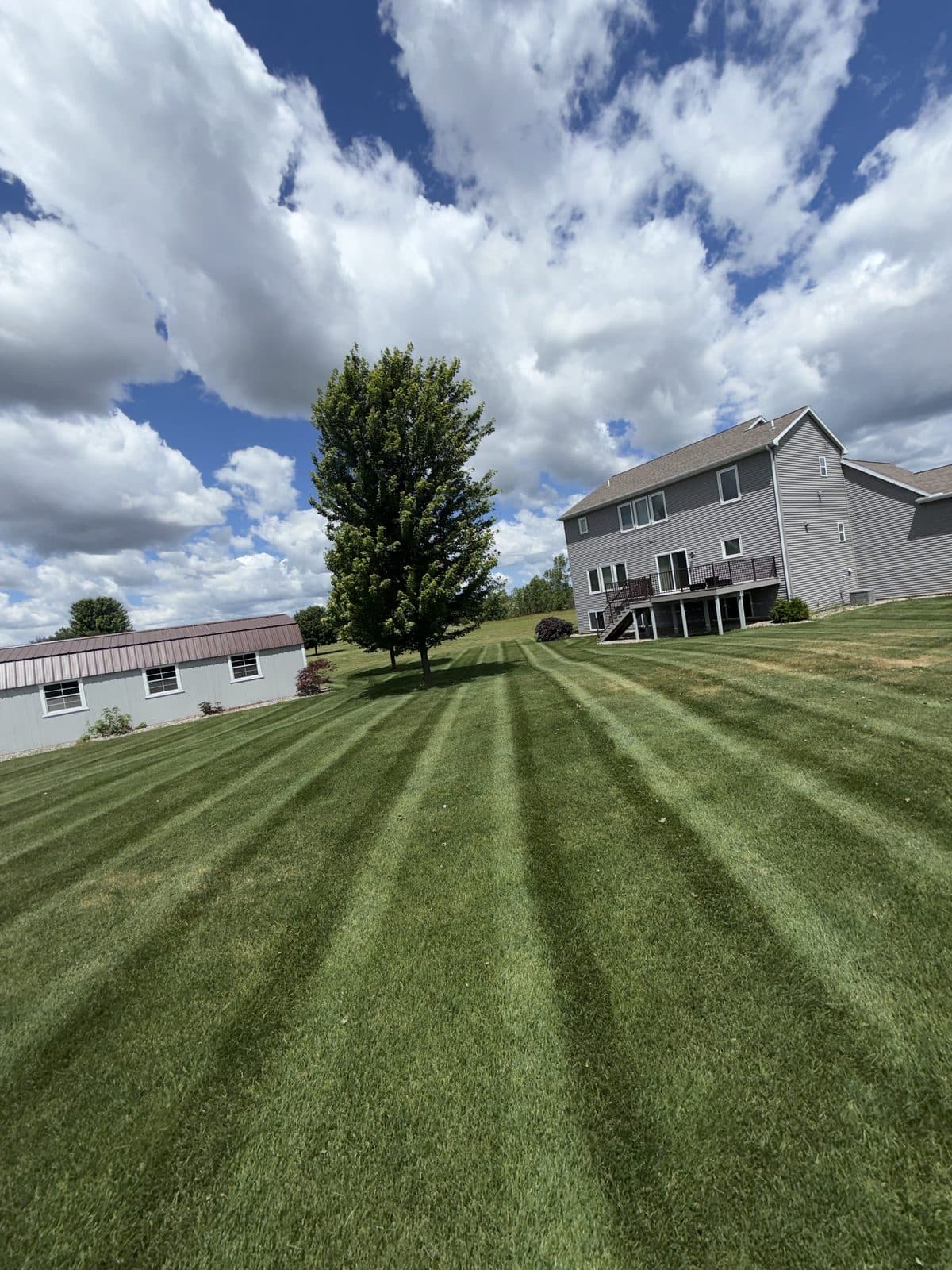 A residential lawn freshly mowed with clean, straight mowing stripes by Fresh Cut Lawns.