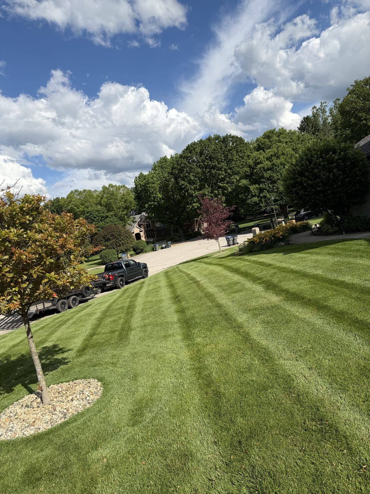 A residential lawn freshly mowed with clean, straight mowing stripes by Fresh Cut Lawns.